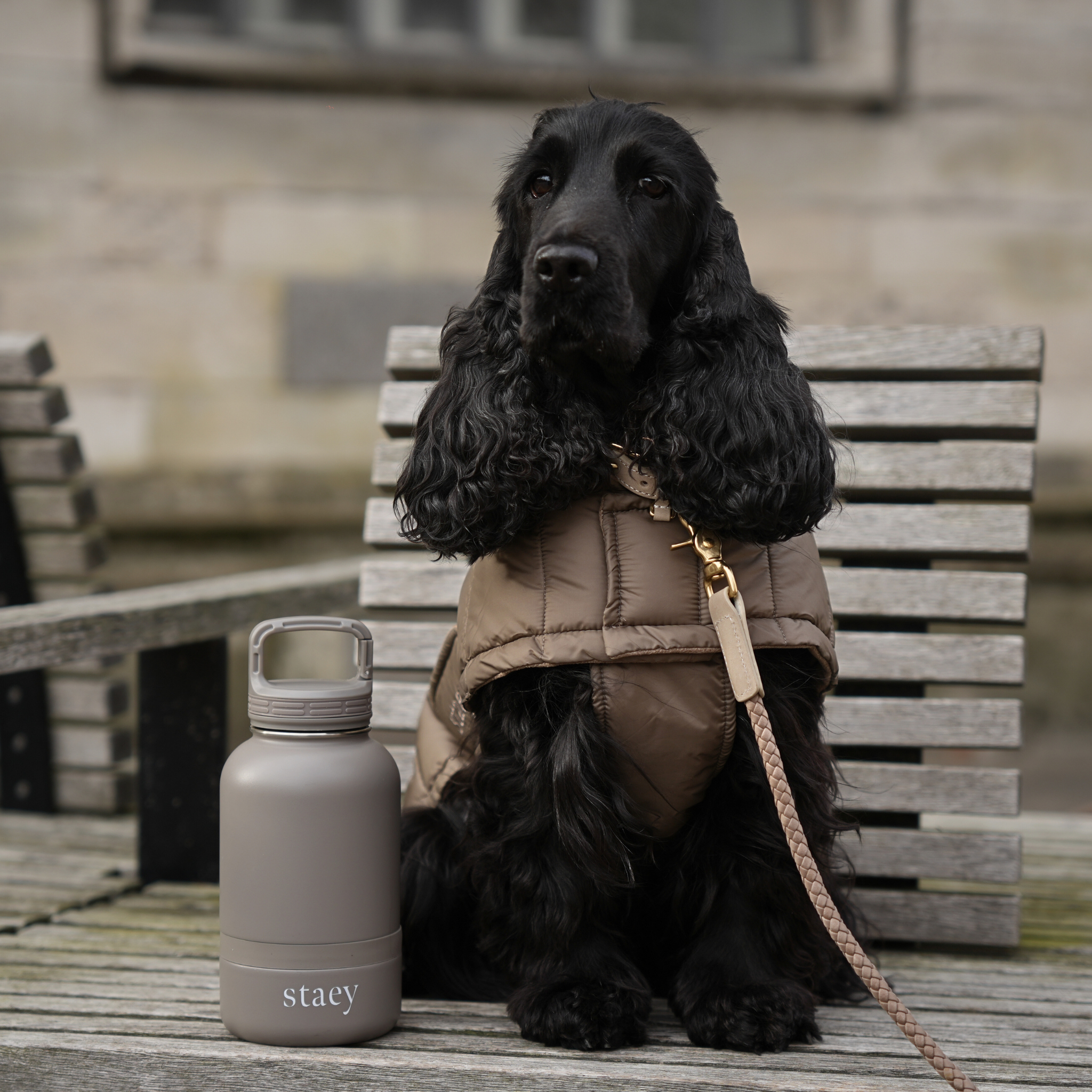 Noona 2-in-1 Bottle w. Kulho | Ruostumaton teräs