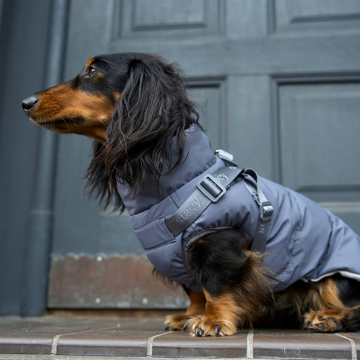 Vera Dog Coat w. Harness | Dusty Blue