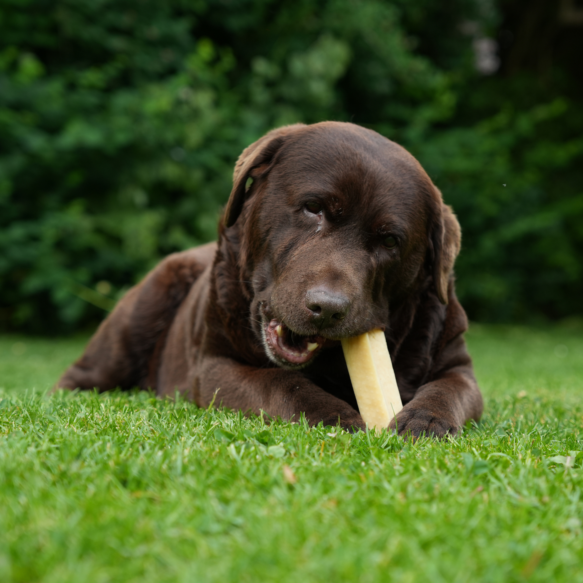 100 % luonnollisia juustoluita