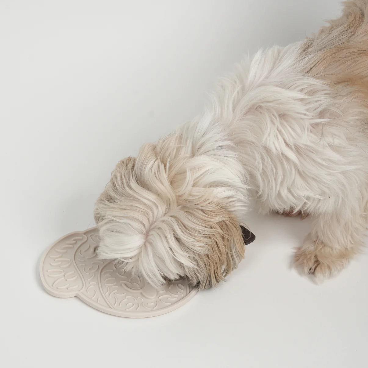 Nuolemismatto | Luonto