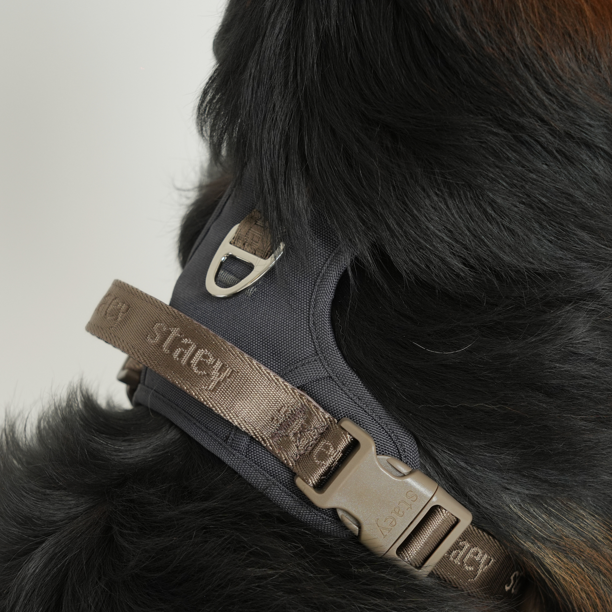 Elma Active koiravaljaat | Myrsky