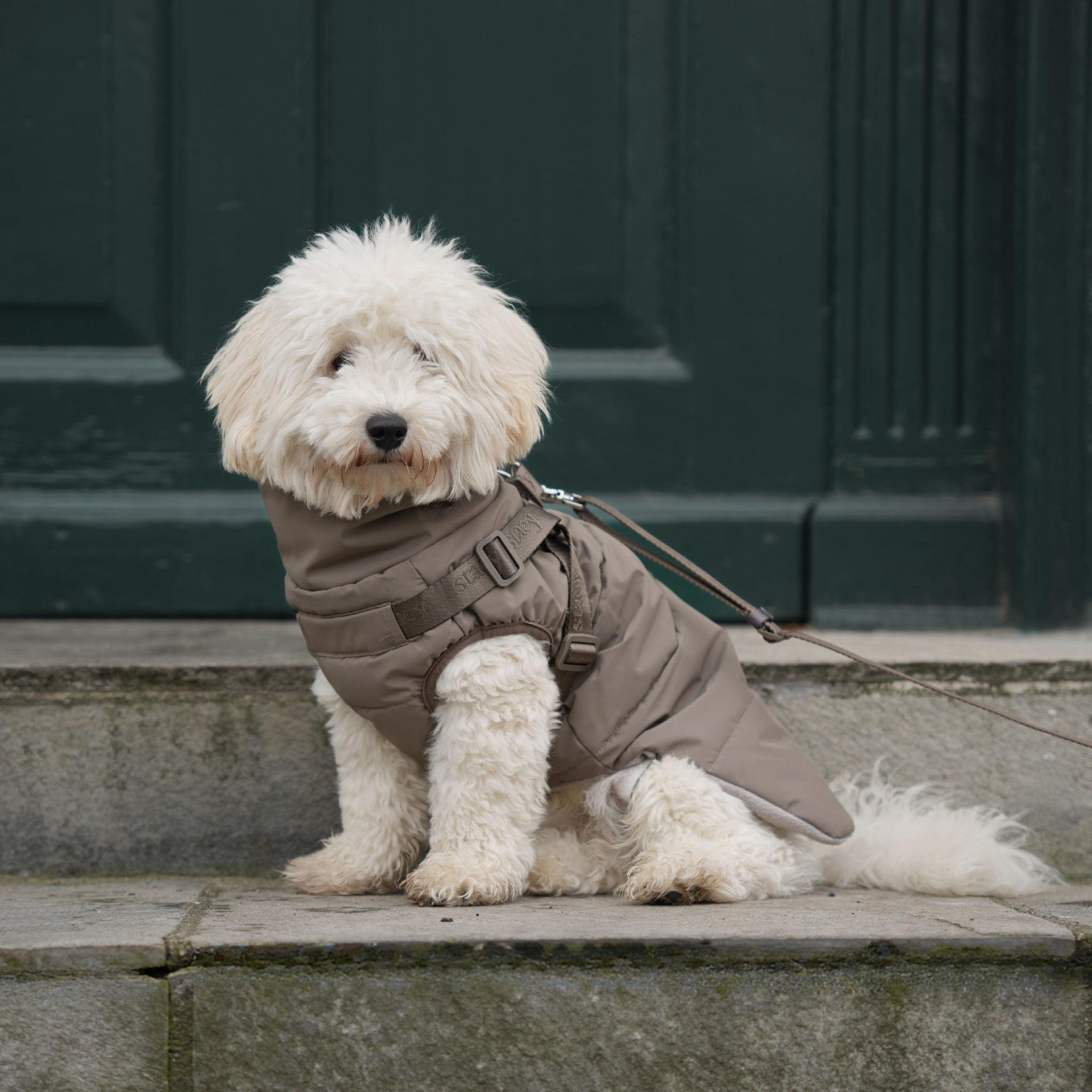 Vera Dog Coat w. Valjaat | Salvia