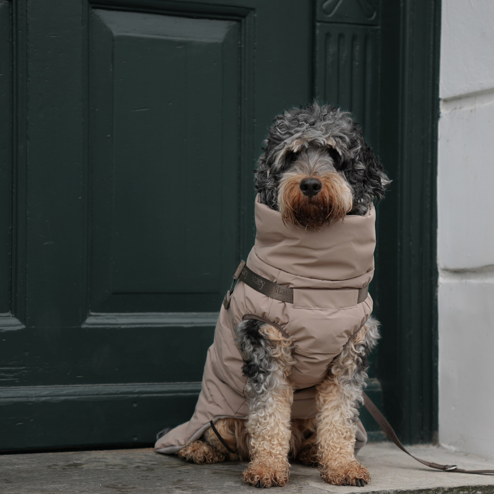 Vera Dog Coat w. Valjaat | Hiekka