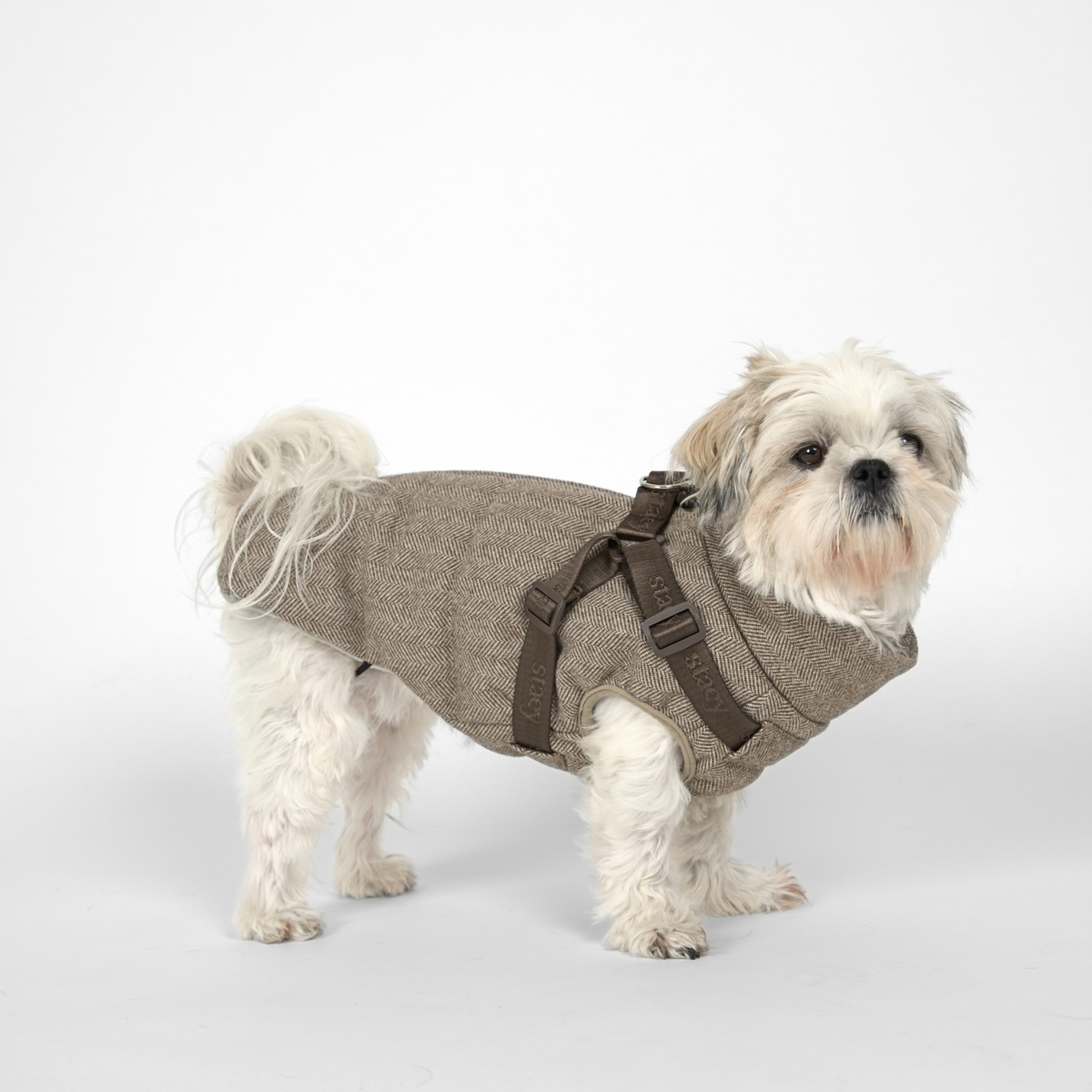 Vera Dog Coat w. Harness | Herringbone Mocca