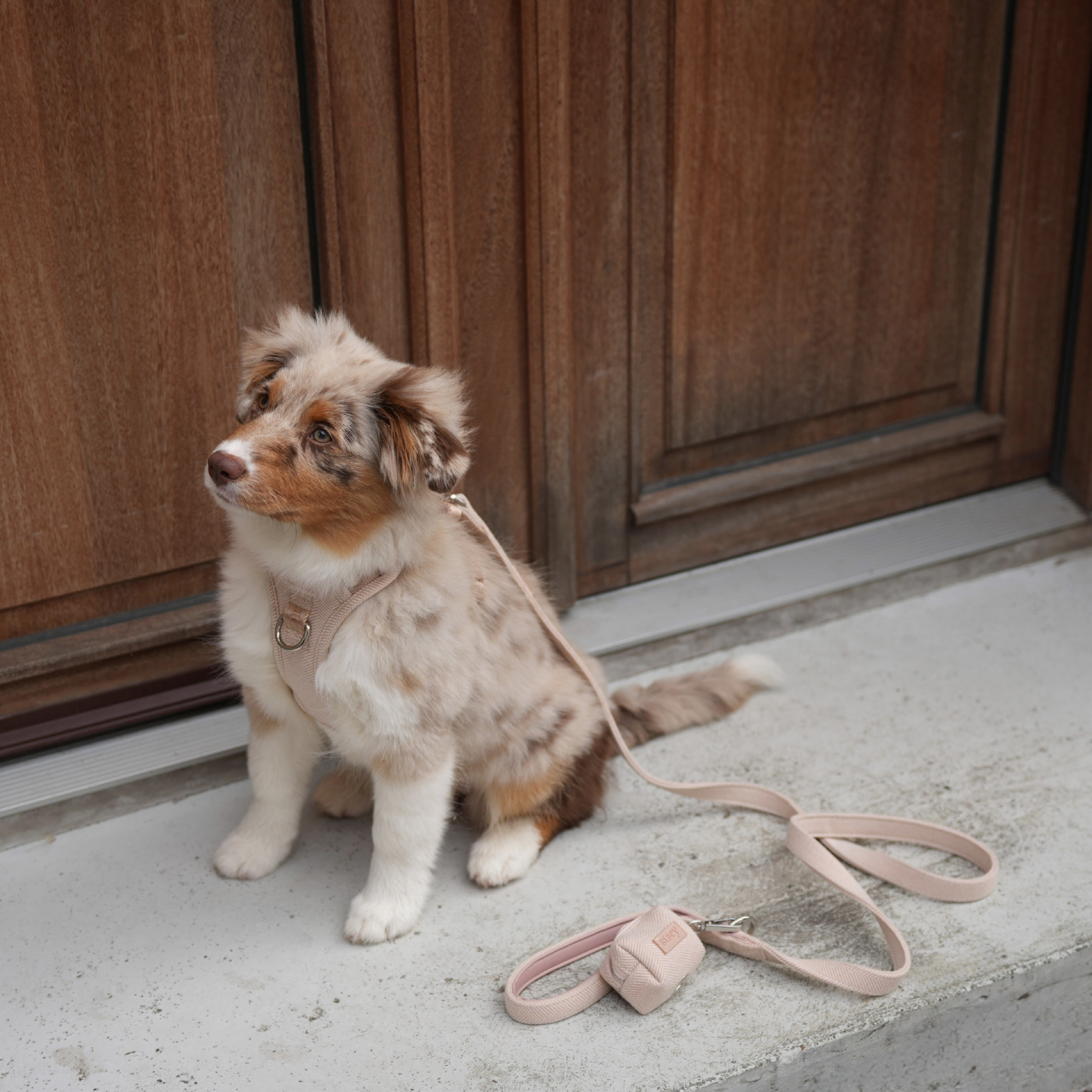 Elma Poop Bag Holder | Light Rose