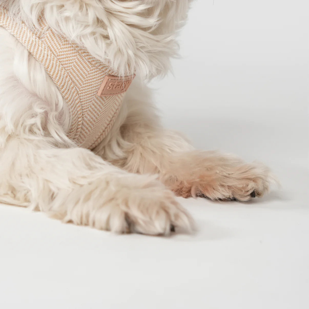 Saga Step-In Dog Harness | Light Rose