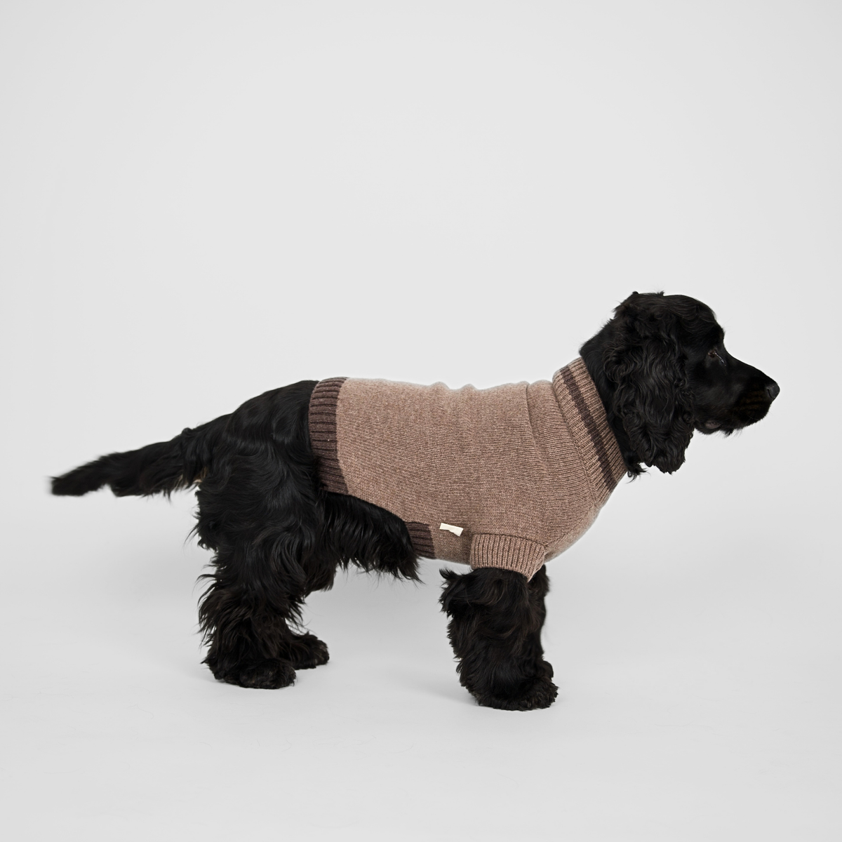 Ellen Dog Sweater | Taupe/Espresso