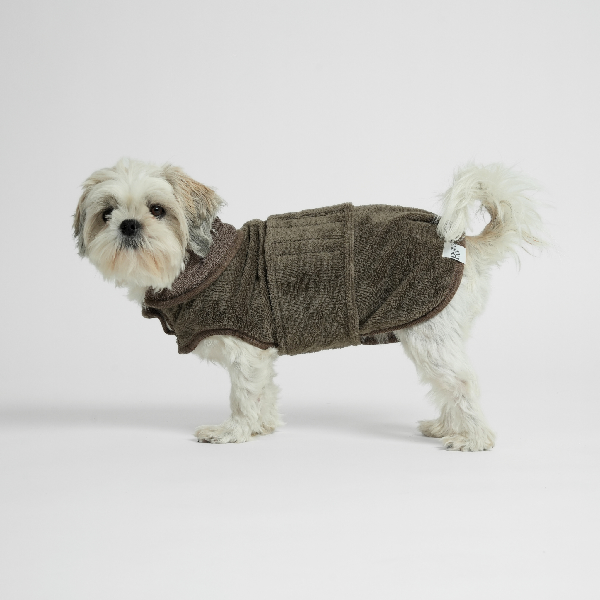 Shih tzu wearing a moss green quilted dog coat