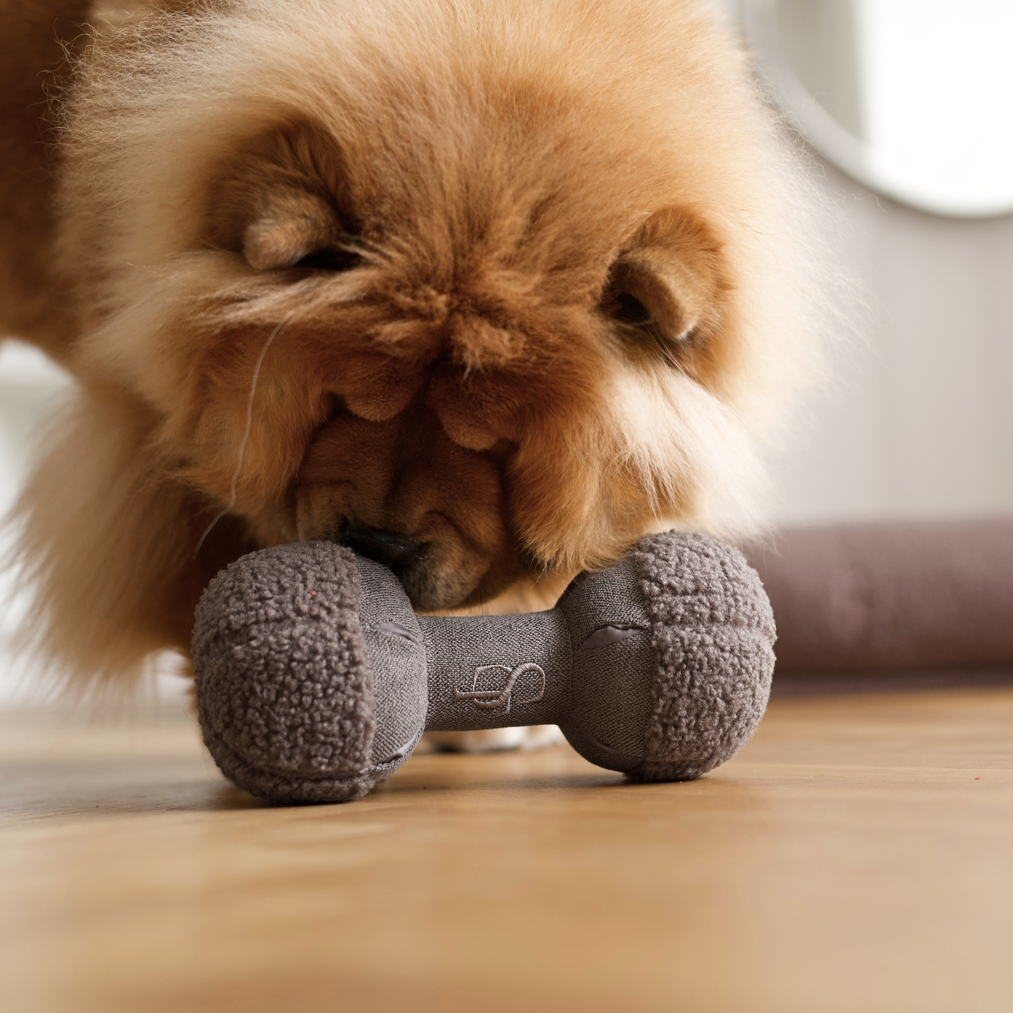 Clara Snuffle Toy | Limited Edition