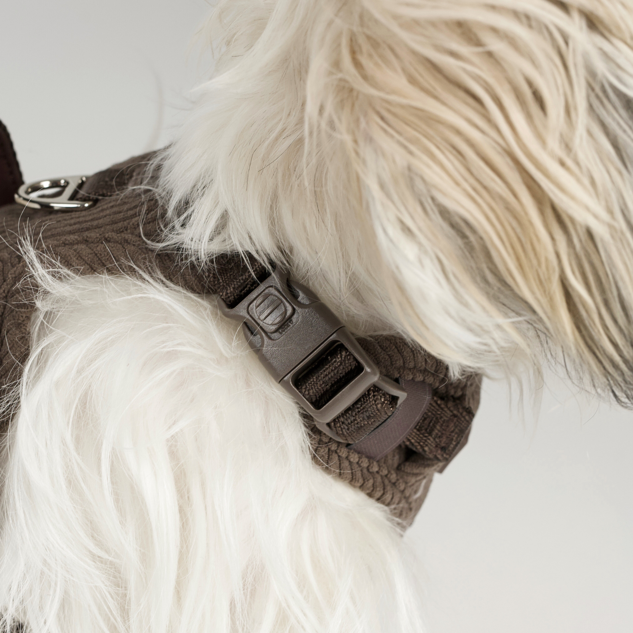 Elma Dog Harness | Dark Oak