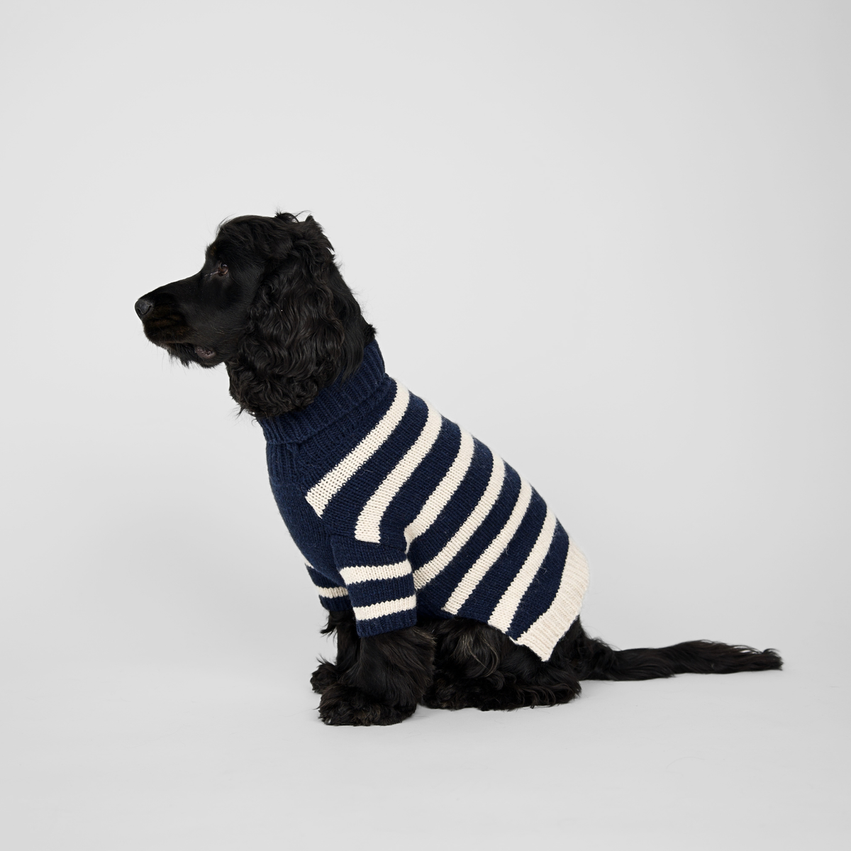 Liva Dog Sweater | Midnight/Oat
