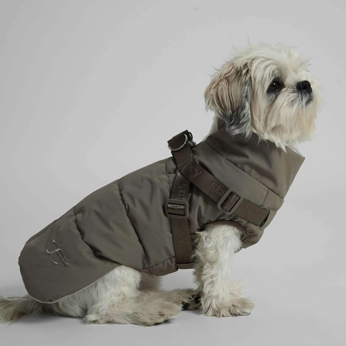 Shih tzu istuu Moss Green -värisessä tikkitakissa valjaineen, kuvattuna sivulta