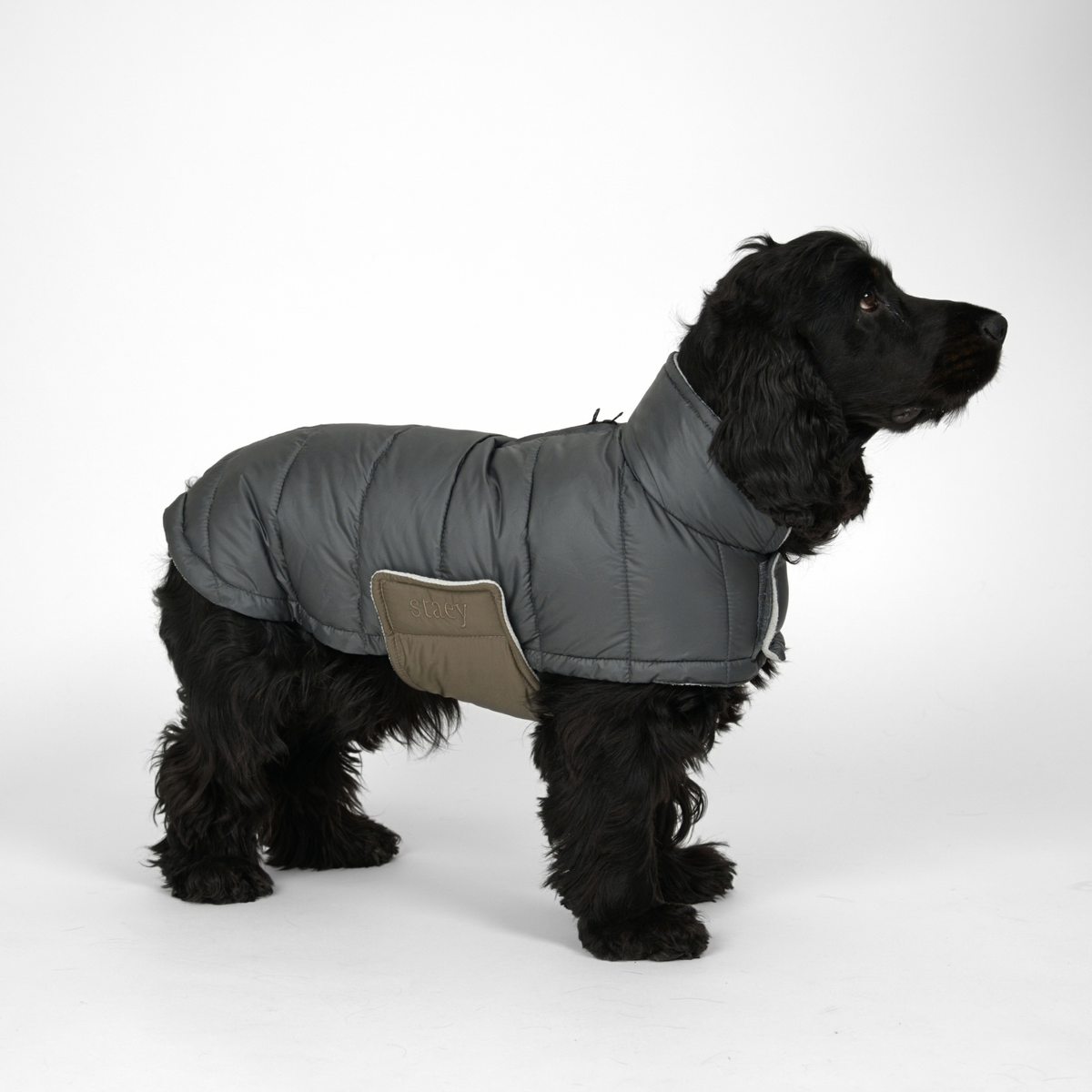 Nora Dog Coat | Storm