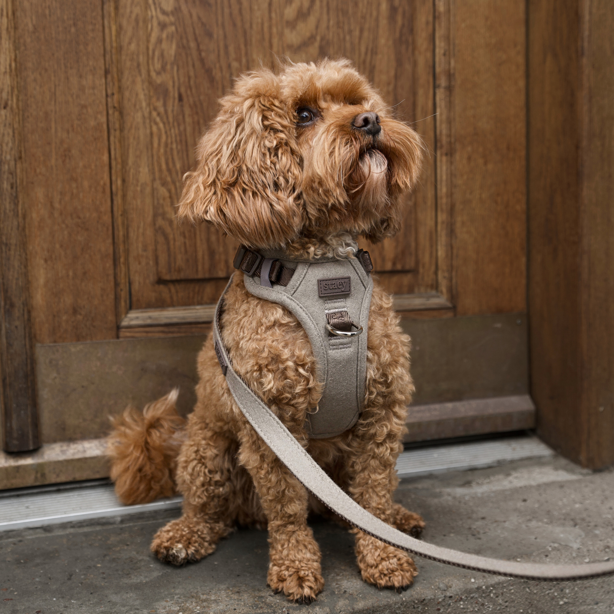 Elma Dog Harness | Sand