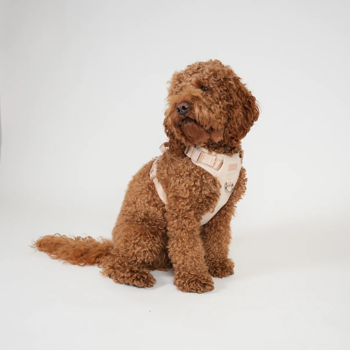 Elma Dog Harness | Light Rose
