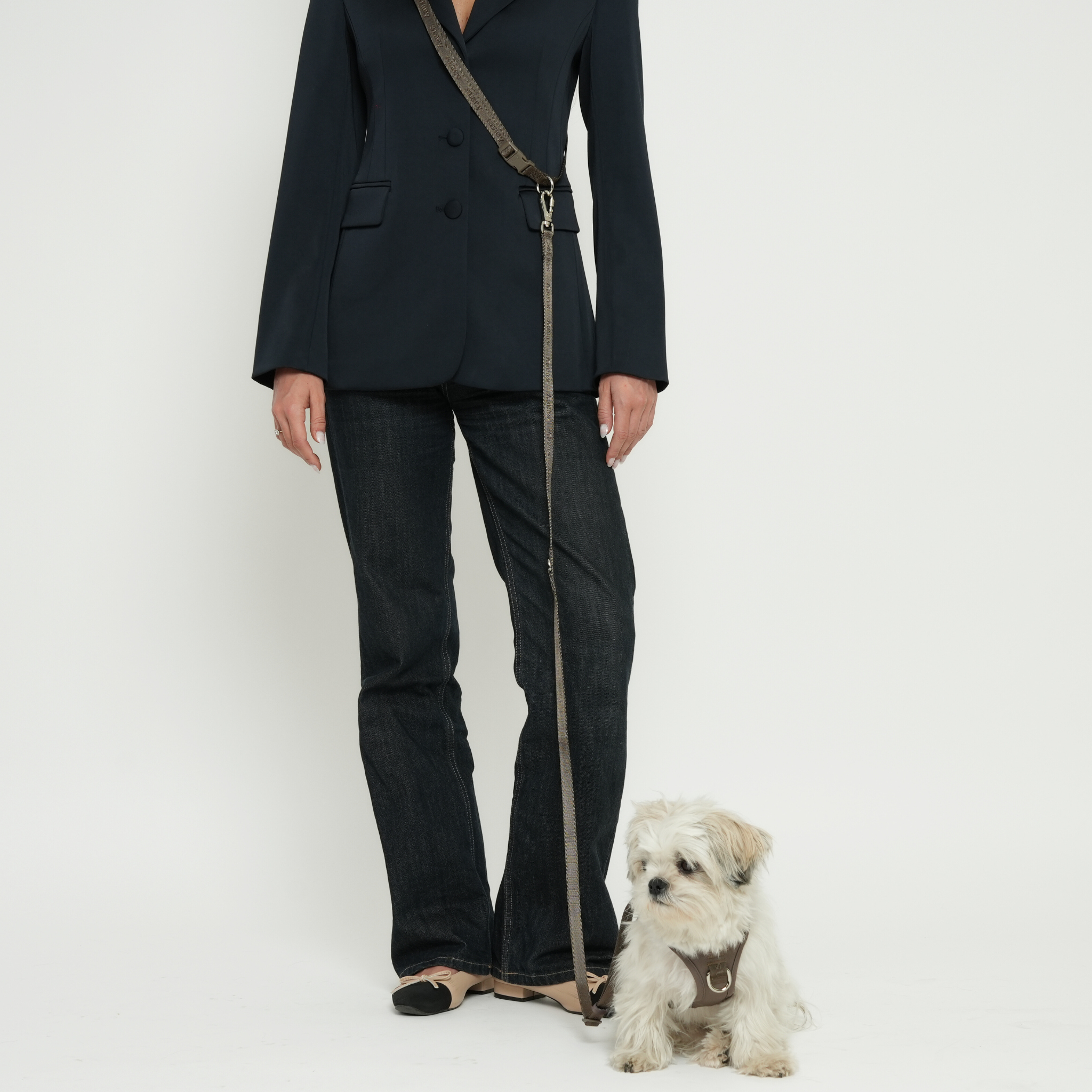 Hands-Free koiran talutushihna – Taupe