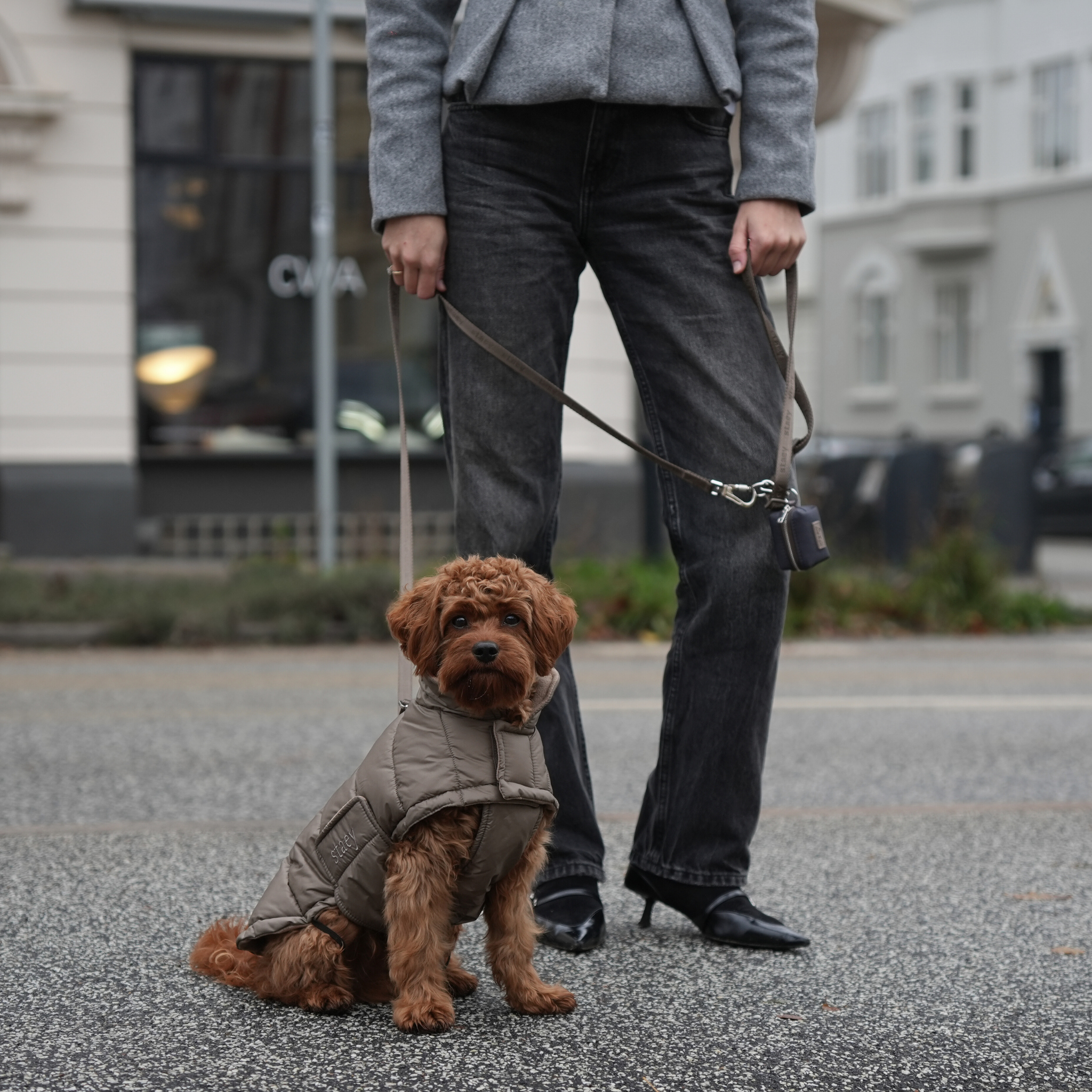 Nora koiran takki | Taupe