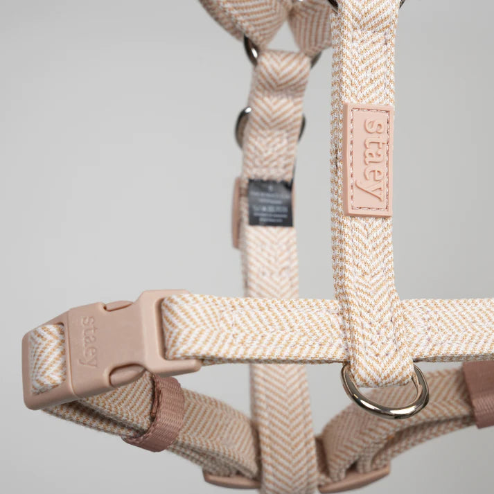 Tara H-Strap Dog Harness | Light Rose