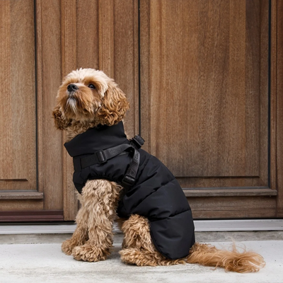 Vera Dog Coat